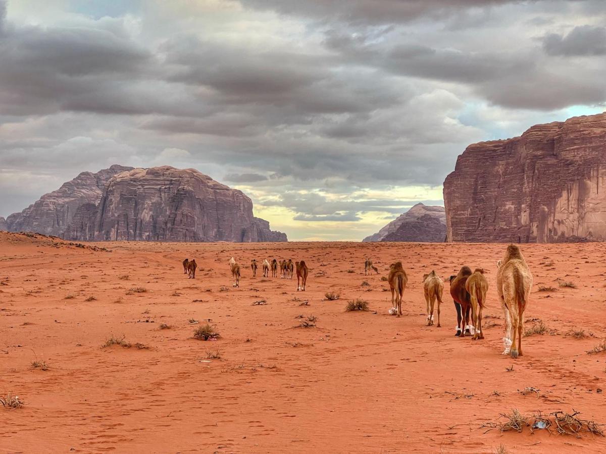 Wadi Rum Bedouin Tour With A Camp エクステリア 写真