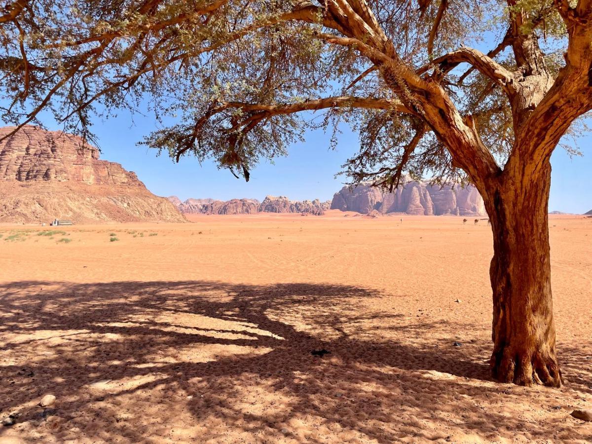 Wadi Rum Bedouin Tour With A Camp エクステリア 写真