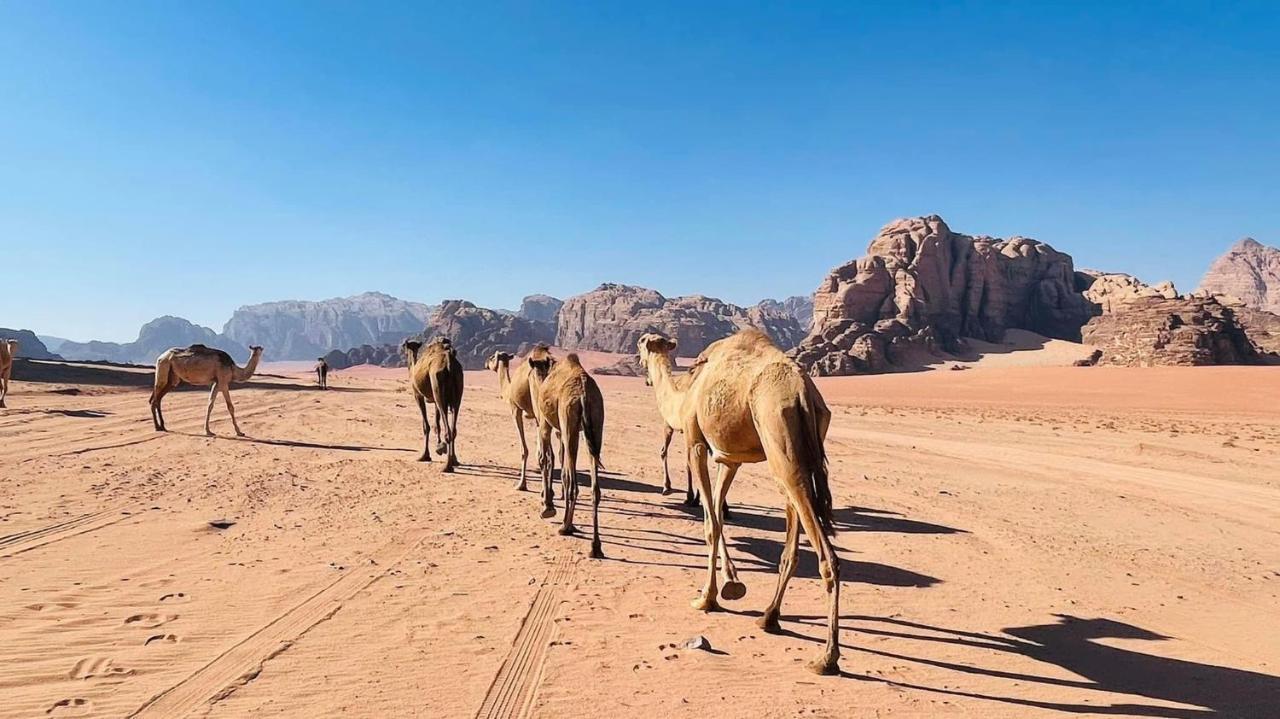Wadi Rum Bedouin Tour With A Camp エクステリア 写真